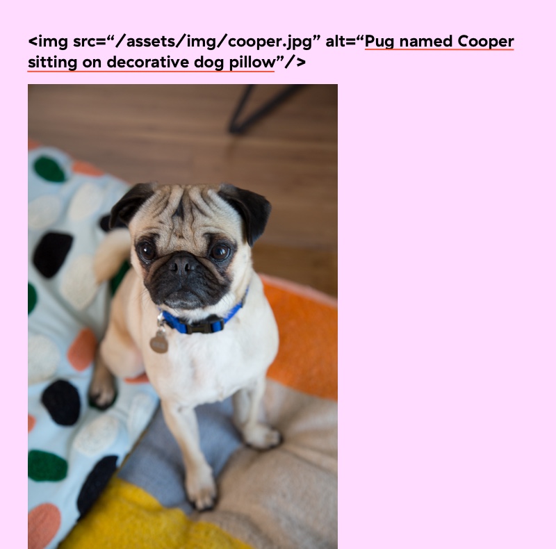 This will be a bit meta, but this is an image of an image with the alt tag marked. The image is of my pug named cooper sitting on a decorative dog pillow.