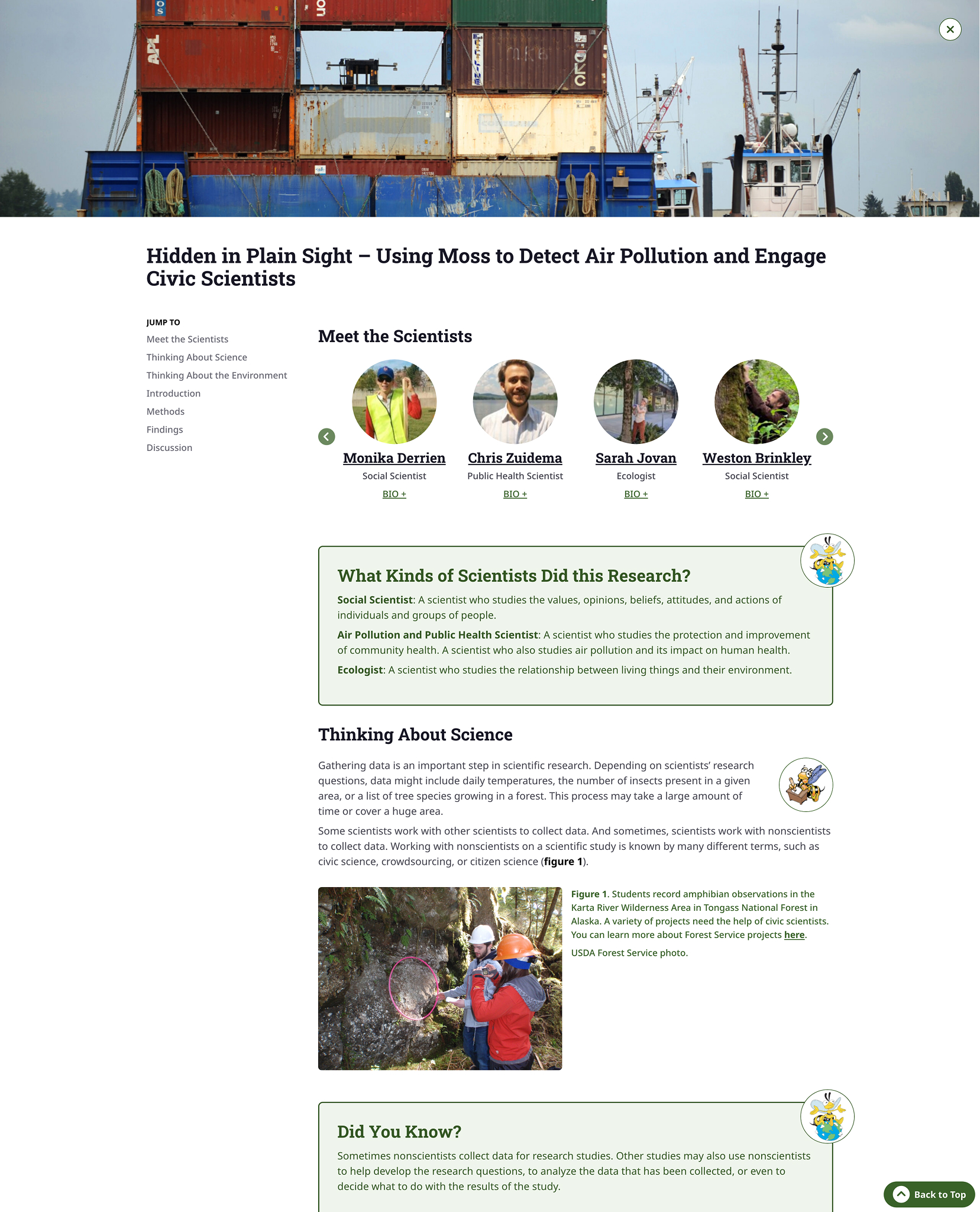 Natural Inquirer website design