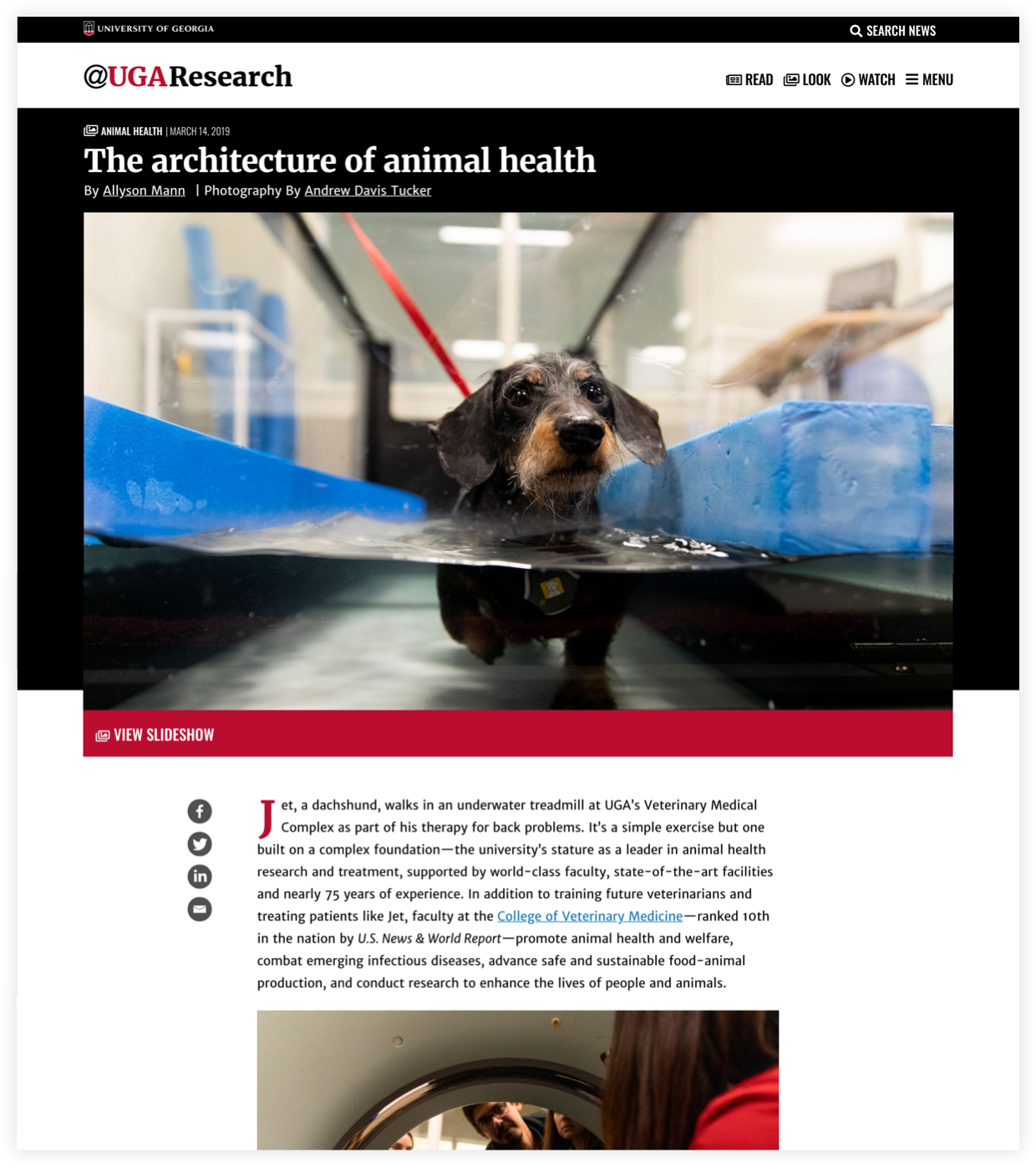 UGA Research News LOOK page with featured Look posts and latest Look posts