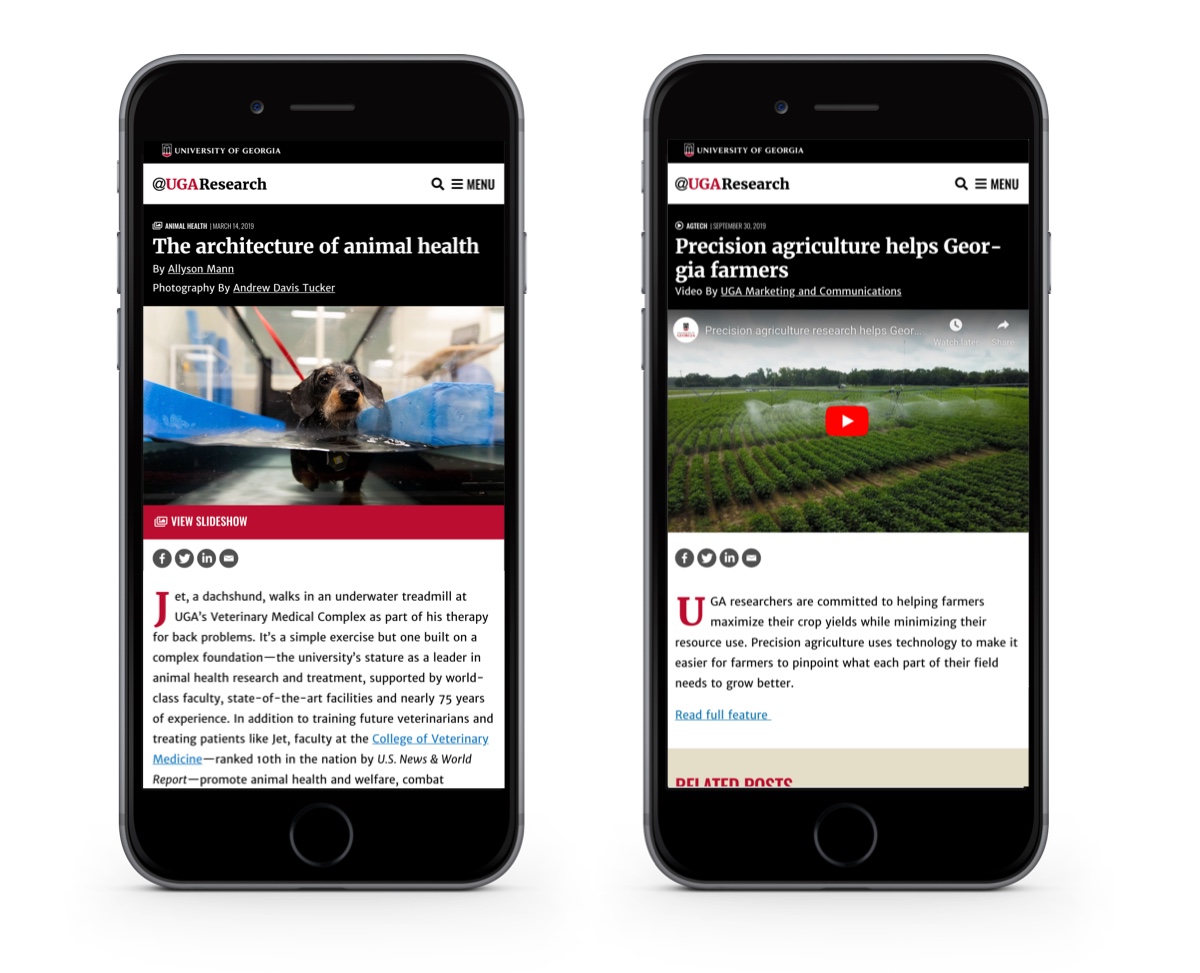 UGA Research News WATCH and LOOK post templates on mobile